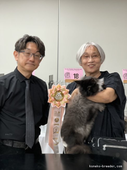 2025年8月のキャットショーでトラゴンが入賞いたしました選んで頂いたジャッチの先生に感謝します｜古俣　伸子(こまた　のぶこ)ブリーダー(新潟県・メインクーン・CFA/SPCC,MCC登録)の紹介写真7