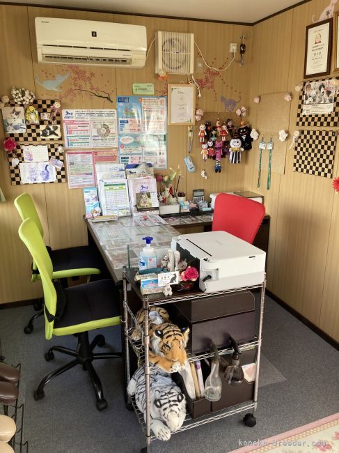 ご案内席も完備！｜朝倉　しのぶ(あさくら　しのぶ)ブリーダー(神奈川県・マンチカンなど・ICC登録)の紹介写真3