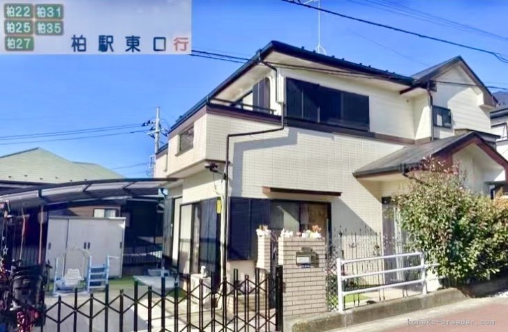 駐車場有り｜清水　光一(しみず　こういち)ブリーダー(千葉県・マンチカンなど・ICC登録)の紹介写真5