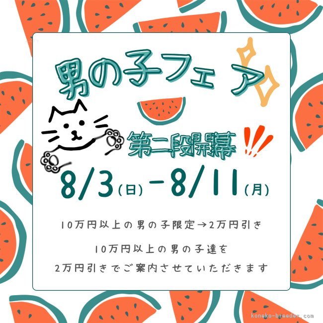 堀江優哉ブリーダー