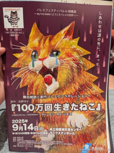 宍戸政俊ブリーダーのブログ：100万回生きたねこ