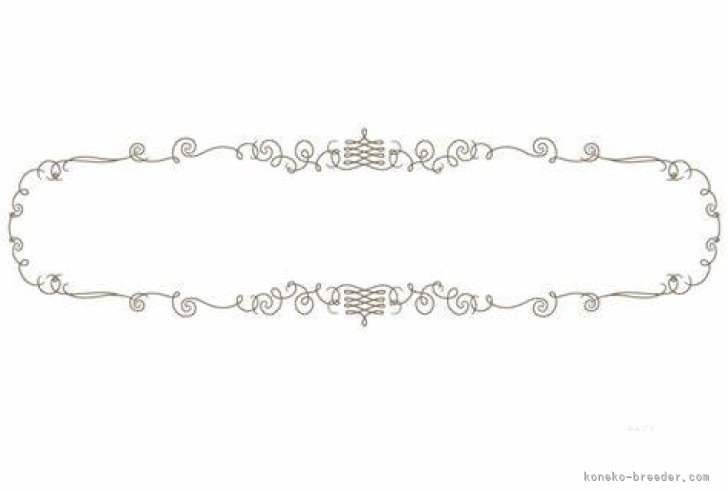 サイベリアン【・女の子・2025年3月16日・ダイリュートキャリコ】