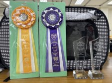 ラグドール【・男の子・2023年7月30日・ブルーポイントバイカラー】