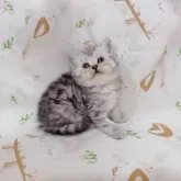 ブリティッシュショートヘア