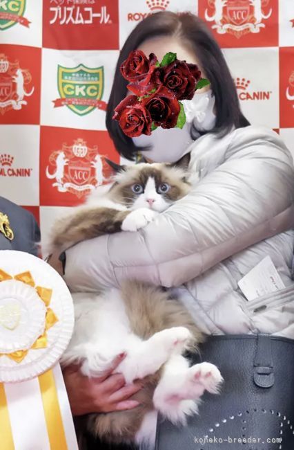 香坂眞由美ブリーダー