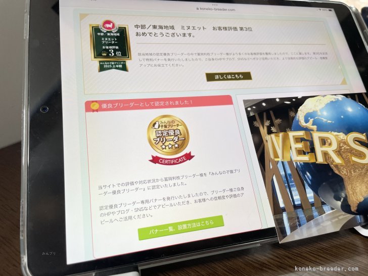 極めて小規模ながら、優良認定及びアワード受賞経験もございます｜冨岡　利枝(とみおか　りえ)ブリーダー(愛知県・ミヌエットなど・ICC登録)の紹介写真10