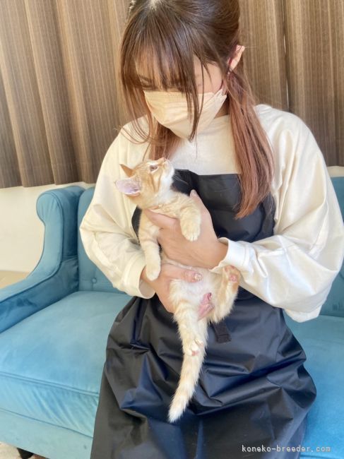 渡邊真奈美ブリーダー