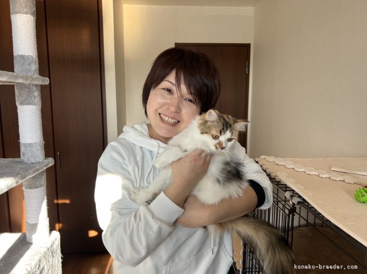 熊倉　努(くまくら　つとむ)ブリーダー(福島県・マンチカンなど・KCP登録)の紹介写真1