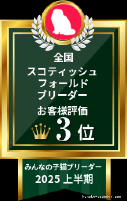板敷　直紘(いたしき　なおひろ)ブリーダー(千葉県・スコティッシュフォールドなど・JCC（旧ACC）/(DCC) ※TICA傘下クラブ/JDCC登録)の紹介写真10