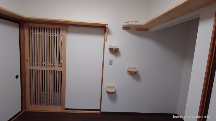 リニューアルした猫部屋｜山田　博美(やまだ　ひろみ)ブリーダー(熊本県・ロシアンブルー・ICC登録)の紹介写真3