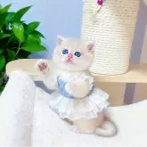 ブリティッシュショートヘア