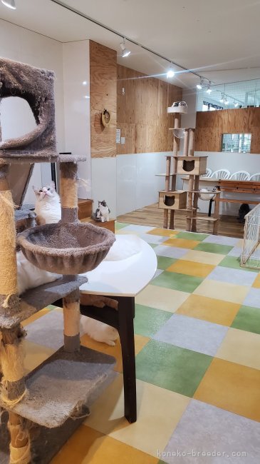 寺尾真弘ブリーダー