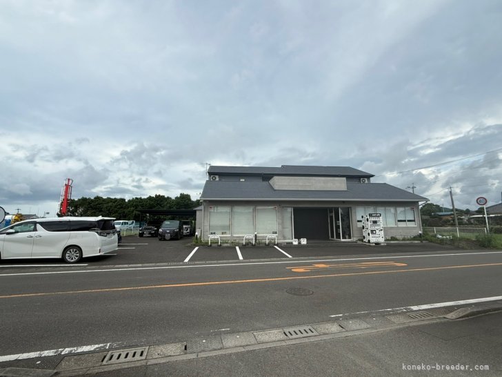 広々駐車場,テイクアウトカフェ有り🧋送迎も致します🙌｜松下　千春(まつした　ちはる)ブリーダー(鹿児島県・ラグドールなど・ICC登録)の紹介写真2