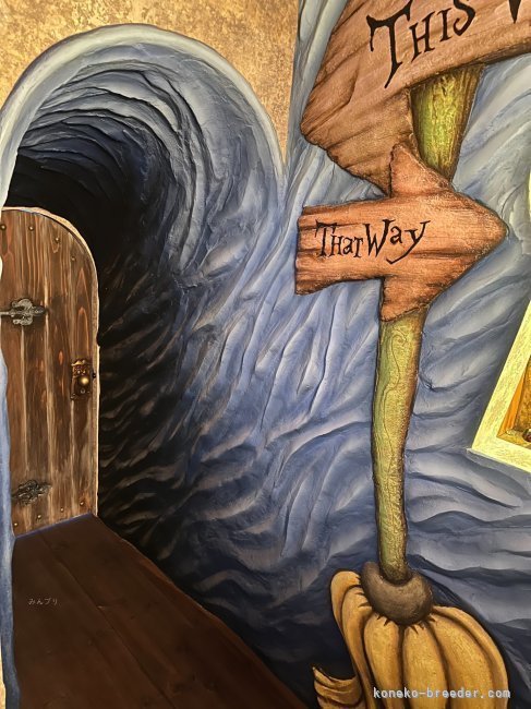 入口のご紹介です💎｜佐野　綾子(さの　あやこ)ブリーダー(静岡県・ミヌエットなど・TICA/ECC/GCS登録)の紹介写真1