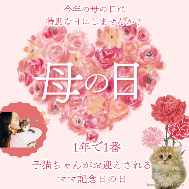 渡邊舞ブリーダーのブログ：母の日🐱💐イベント🌹
