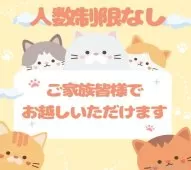 ノルウェージャンフォレストキャット【千葉県・女の子・2025年3月26日・ブラウンタビー&ホワイト】の写真14「ご家族みんなでご来店いただけます👪人数制限はありませんので皆さんでお越しください💖」