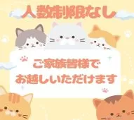 ラグドール【千葉県・女の子・2025年6月6日・ブルーポイントバイカラー】の写真14「ご家族みんなでご来店いただけます👪人数制限はありませんので皆さんでお越しください💖」