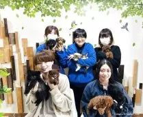 ノルウェージャンフォレストキャット【千葉県・男の子・2025年3月26日・ブラウンタビー&ホワイト】の写真15「みんなネコちゃんが大好き💖大切にお世話した子猫ちゃんをお迎えください😊」