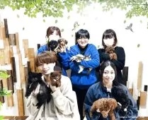 マンチカン(長足)【千葉県・男の子・2025年3月1日・ブルー】の写真15「みんなネコちゃんが大好き💖大切にお世話した子猫ちゃんをお迎えください😊」