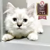 サイベリアン
