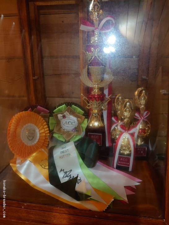 梅木美由紀ブリーダー