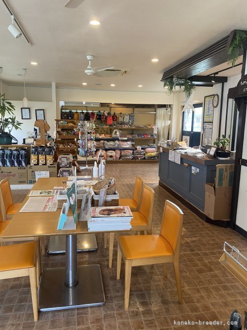 フードや用品も取り扱っております。｜森　あゆみ(もり　あゆみ)ブリーダー(愛知県・アメリカンショートヘアなど・JCPA登録)の紹介写真3