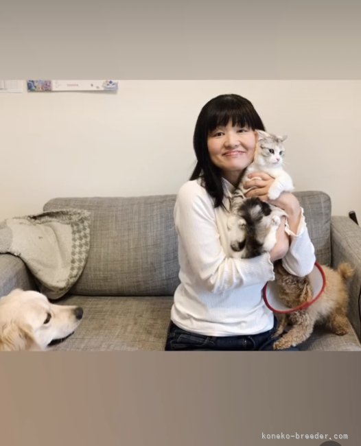 井上　千浪(いのうえ　ちなみ)ブリーダー(宮崎県・マンチカンなど・NAG登録)の紹介写真5