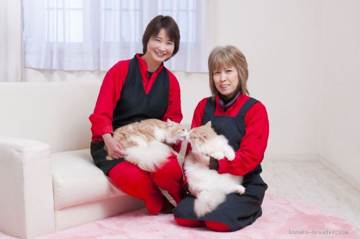 ✿お迎えした子猫が新しい環境に慣れる迄は見守り隊でいて下さい。人猫関係に焦りは禁物です。｜阪　佑子(さか　ゆうこ)ブリーダー(三重県・サイベリアンなど・ICC登録)の紹介写真3