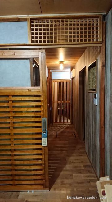 万が一を考えて、猫の脱走防止対策も、十分に行っております。｜阿部　祥子(あべ　しょうこ)ブリーダー(岐阜県・アビシニアン・CFA/TICA/AJC登録)の紹介写真9