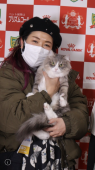 サイベリアン【・女の子・2019年3月23日・ブルーマッカレルタビー&ホワイト】「キャットショーでの一コマ。コロナ禍でショーが少ない中、Wチャンピオンになってます❣️」