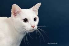 カオマニー【・女の子・2023年4月22日・ホワイト】