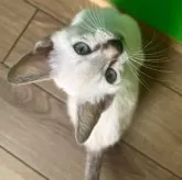 カオマニー【福島県・男の子・2025年9月19日・ブルーリンクスポイント】の写真7