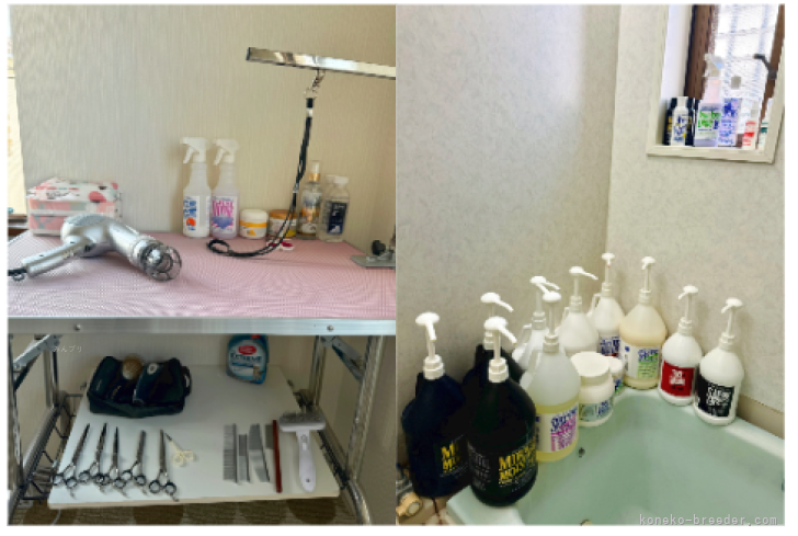 猫 お風呂場｜尾崎　由侑(おざき　ゆう)ブリーダー(埼玉県・ミヌエットなど・TICA/CPA登録)の紹介写真10