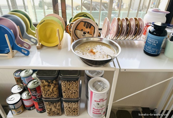 猫専用キッチン｜尾崎　由侑(おざき　ゆう)ブリーダー(埼玉県・ミヌエットなど・TICA/CPA登録)の紹介写真9