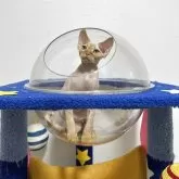 デボンレックス