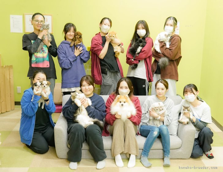 当猫舎のスタッフです🌟わんちゃんもいます🐶｜朝比奈　杏奈(あさひな　あんな)ブリーダー(神奈川県・マンチカンなど・ZCC登録)の紹介写真10