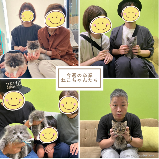 朝比奈杏奈ブリーダーのブログ：家族が決まりました🐱💕