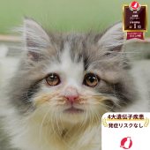 サイベリアン