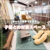 ミヌエット(長足)【埼玉県・女の子・2025年5月6日・シルバータビー】の写真13「子猫と遊びながら対面できる、広々としたスペースでご案内します。隣にはお母さん犬たちのドッグランも🐶」