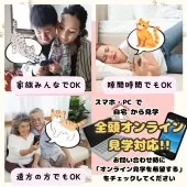 スコティッシュフォールド(立ち耳)【埼玉県・男の子・2025年2月3日・ブルー】の写真9「「自宅からねこちゃんを見学🏠」来店が難しい方もオンライン見学をお気軽にご利用ください！」