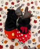 スフィンクス【・男の子・2022年2月2日・ブルー】「仲良し🐭✨️」