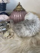 ミヌエット【兵庫県・女の子・2020年9月21日・シェーデットシルバー】の写真5