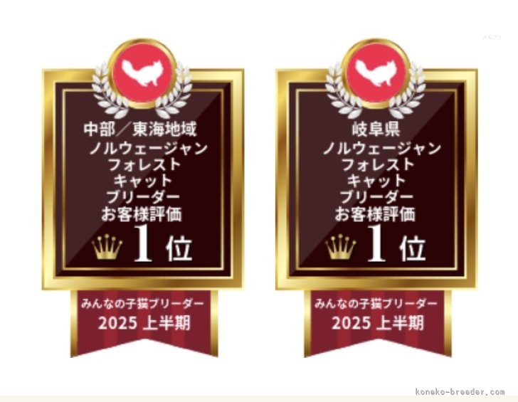 受賞しました｜伊藤　福次(いとう　ふくじ)ブリーダー(岐阜県・ノルウェージャンフォレストキャット・JCU登録)の紹介写真5