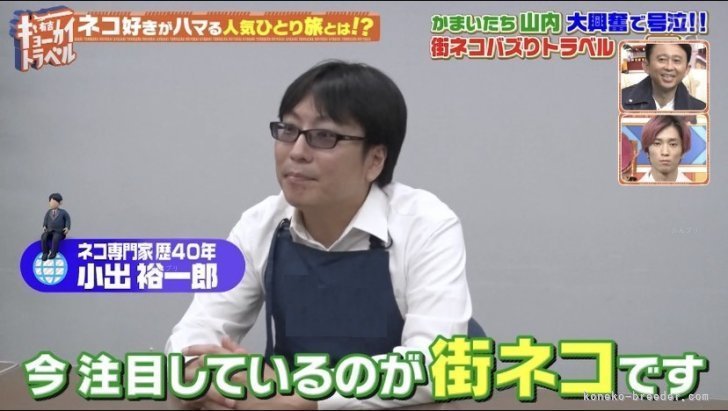 小出裕一郎ブリーダー
