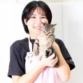 スコティッシュフォールド(立ち耳)【神奈川県・女の子・2025年1月19日・ブラウンマッカレルタビー】の写真10