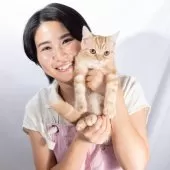 スコティッシュフォールド(立ち耳)【神奈川県・男の子・2025年4月26日・クリームタビー】の写真11