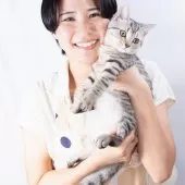 スコティッシュフォールド(立ち耳)【神奈川県・男の子・2025年3月12日・シルバーマッカレルタビー】の写真13