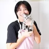 スコティッシュフォールド(立ち耳)