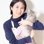 マンチカン(長足)【神奈川県・男の子・2024年7月7日・ブルースポッテッドタビー】の写真4「このくらいの大きさです🥰」