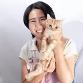 スコティッシュフォールド(立ち耳)【神奈川県・男の子・2025年4月26日・クリームタビー】の写真4